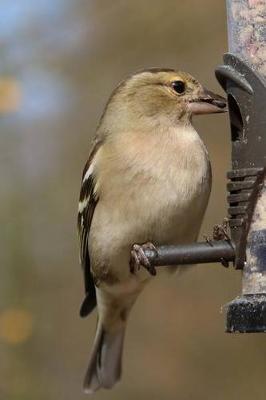 Book cover for Chaffinch Bird Journal