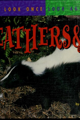 Cover of Animal Feathers & Fur