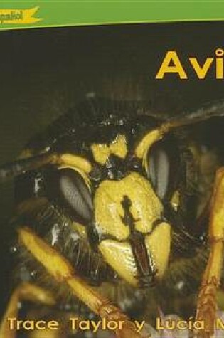 Cover of Avispas