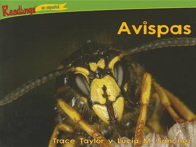 Book cover for Avispas