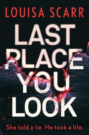 Cover of Last Place You Look