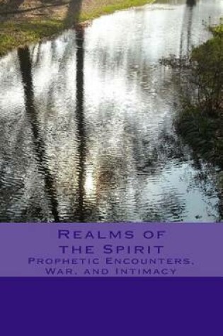 Cover of Realms of the Spirit