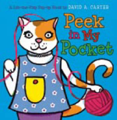 Book cover for Peek in My Pocket