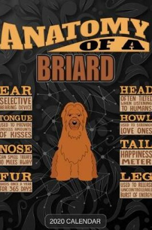 Cover of Anatomy Of A Briard