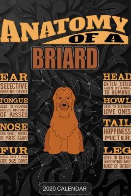 Book cover for Anatomy Of A Briard