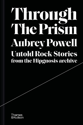 Book cover for Through the Prism