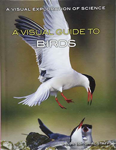 Book cover for A Visual Guide to Birds