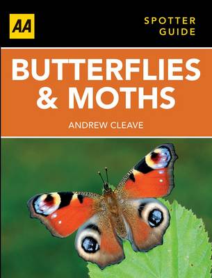 Cover of Butterflies and Moths