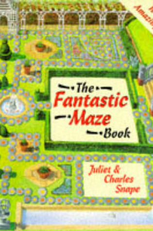 Cover of The Fantastic Maze Book