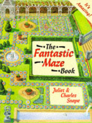 Book cover for The Fantastic Maze Book