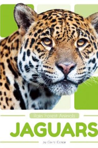 Cover of Rain Forest Animals: Jaguars