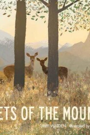 Cover of Secrets of the Mountain