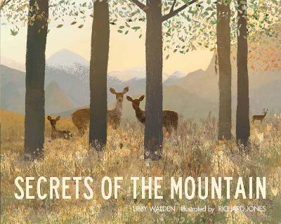 Book cover for Secrets of the Mountain