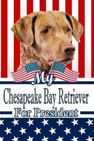 Cover of My Chesapeake Bay Retriever for President