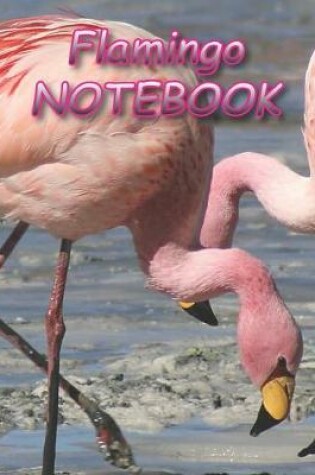Cover of Flamingo NOTEBOOK