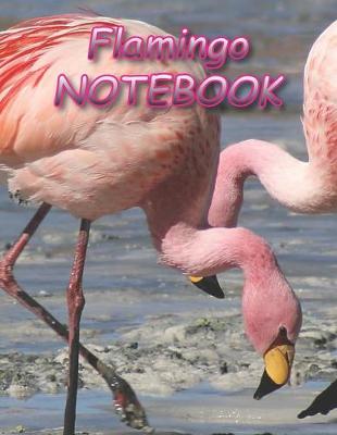 Book cover for Flamingo NOTEBOOK