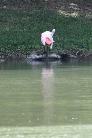 Cover of A Beautiful Pink Spoonbill on the Resaca