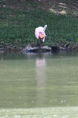 Book cover for A Beautiful Pink Spoonbill on the Resaca