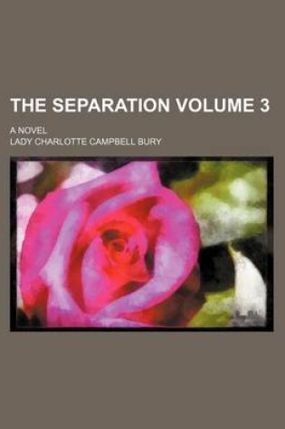 Cover of The Separation Volume 3; A Novel