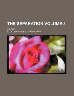 Book cover for The Separation Volume 3; A Novel