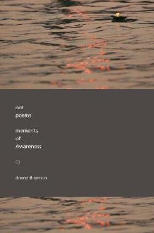 Cover of Not Poems