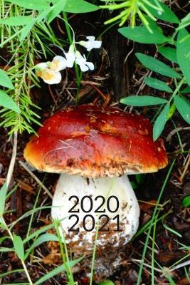 Book cover for Wild Fairy Fungi Mushroom Hunter's 25 Month Weekly Planner Dated Calendar for Women & Men