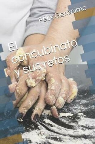 Cover of El concubinato y sus retos