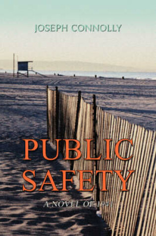Cover of Public Safety