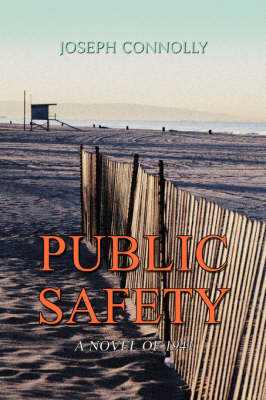 Book cover for Public Safety