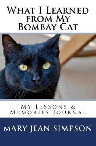 Cover of What I Learned from My Bombay Cat