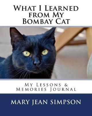 Book cover for What I Learned from My Bombay Cat