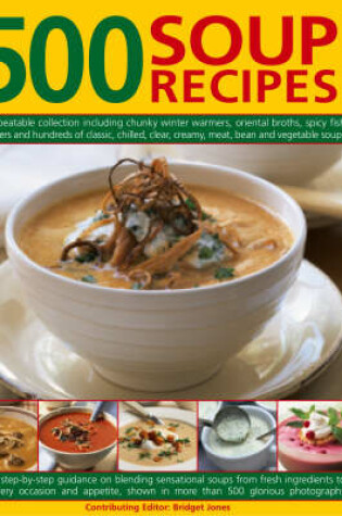 Cover of 500 Soup Recipes