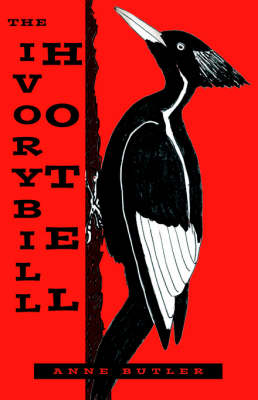 Book cover for The Ivorybill Hotel