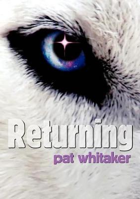 Book cover for Returning