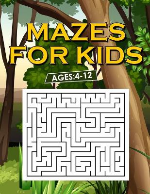 Book cover for Mazes For Kids Ages 4-12