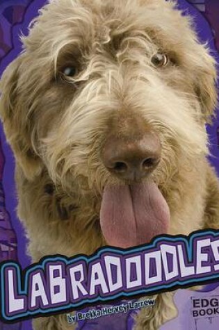 Cover of Labradoodles