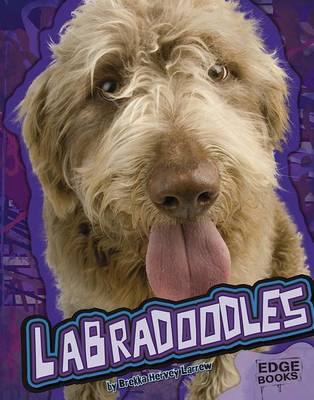 Book cover for Labradoodles