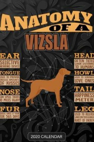 Cover of Anatomy Of A Vizsla