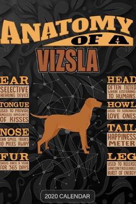 Book cover for Anatomy Of A Vizsla