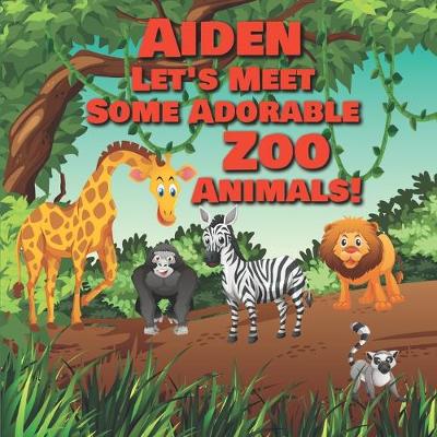 Book cover for Aiden Let's Meet Some Adorable Zoo Animals!