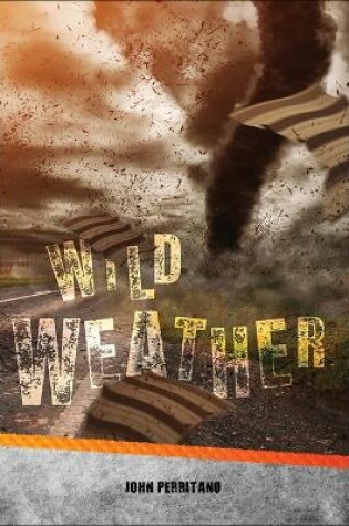 Cover of Wild Weather