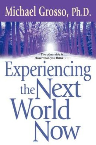 Cover of Experiencing the Next World Now