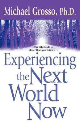 Book cover for Experiencing the Next World Now