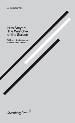 Cover of The Wretched of the Screen