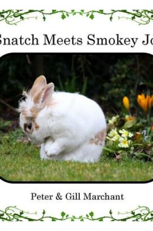 Cover of Snatch Meets Smokey Joe