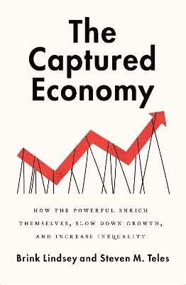 Book cover for The Captured Economy