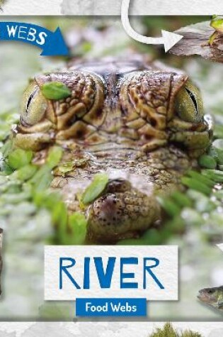 Cover of River Food Webs