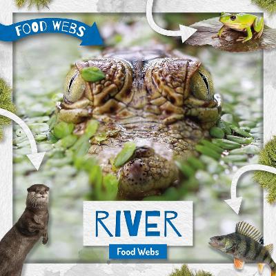 Book cover for River Food Webs
