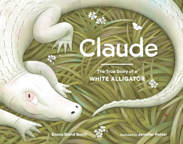 Book cover for Claude