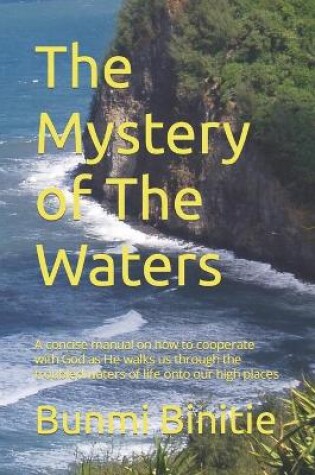 Cover of The Mystery of The Waters